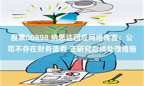 股票00898 纳思达回应网络传言：公司不存在财务造假 正研究后续处理措施